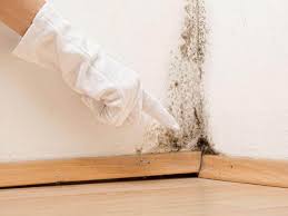 Best Mold Removal for HVAC Installations  in Forty Fort, PA